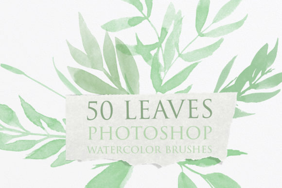 Bringing Organic Elegance to Digital Designs with Leaves Photoshop Watercolor Brushes