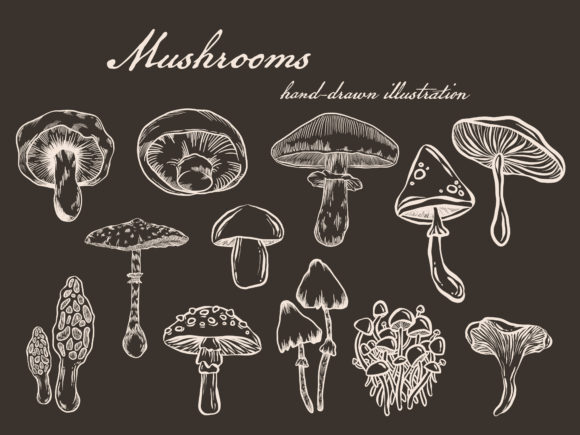 Mushrooms Autumn Brushes Procreate: A Guide to Hand-Drawn Stamps for iPad Art